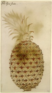 The Pyne frute, 1585-93